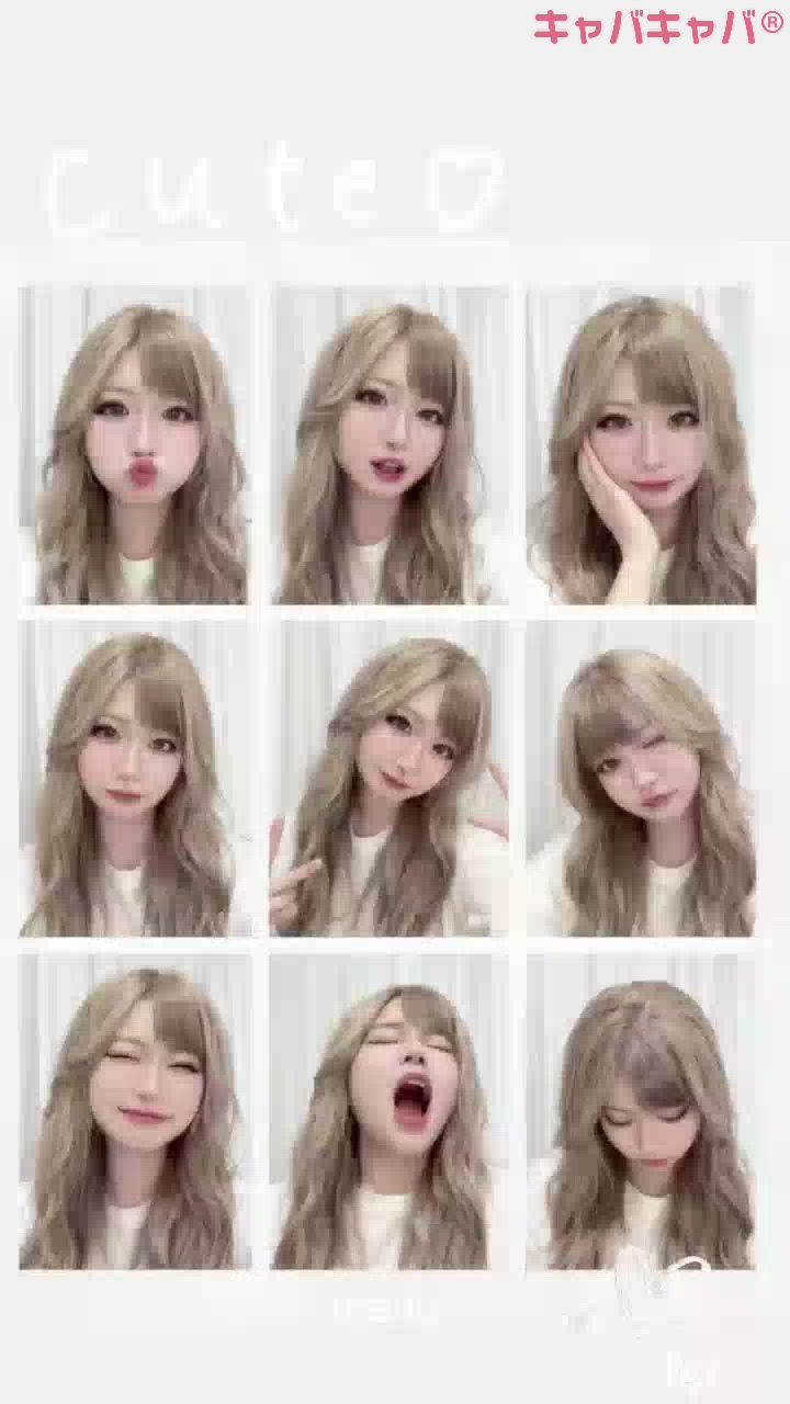 Persephone日記1511609