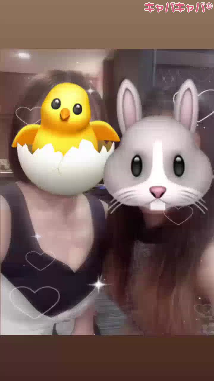 一条 葵