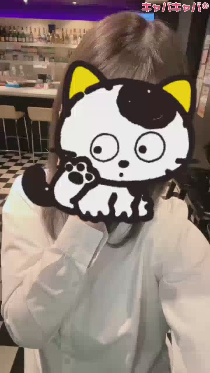 このネコ名前なんだっけーー？