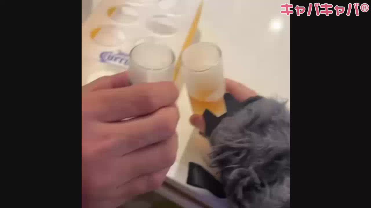 6月14日 01時00分のブログ