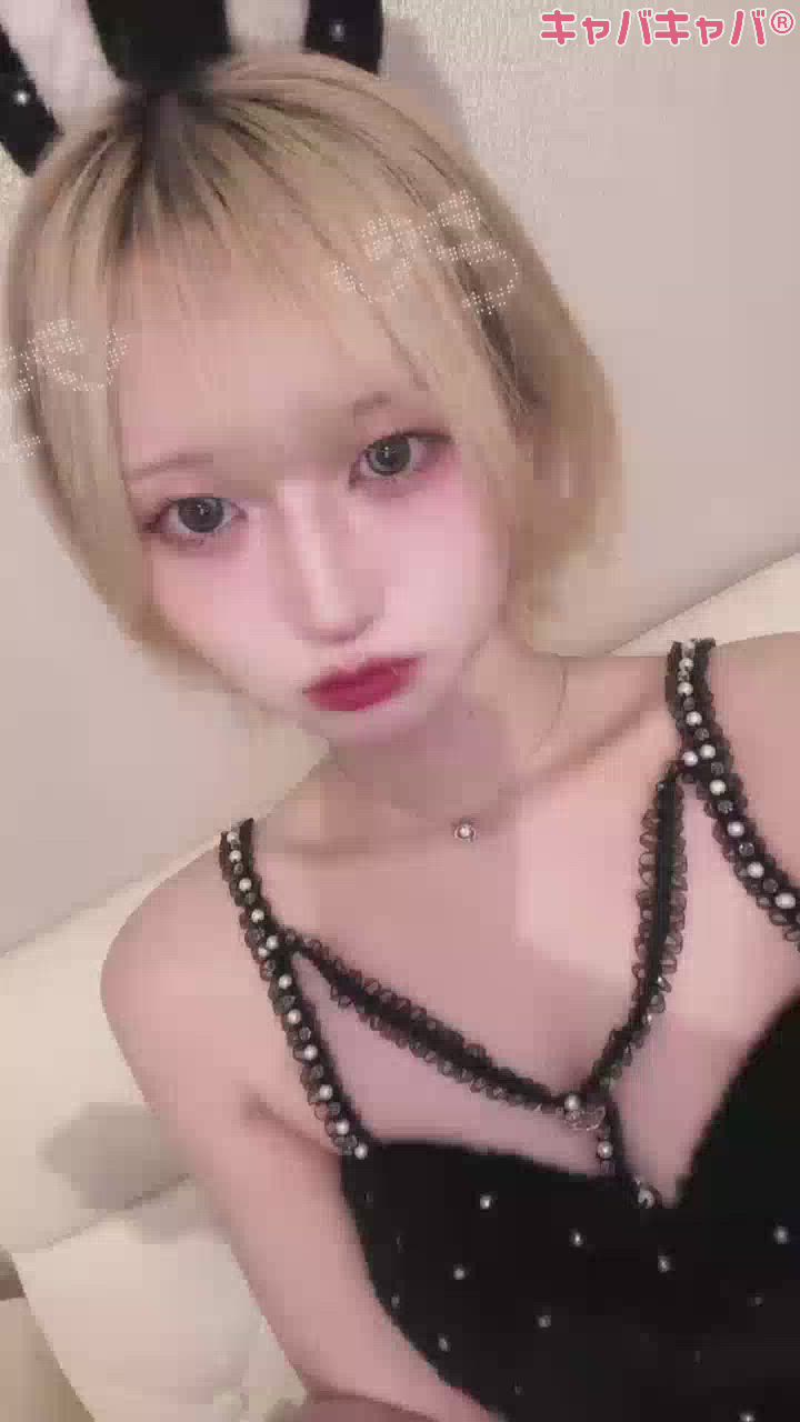 コンセプトカフェ あにまる宮殿日記1393785