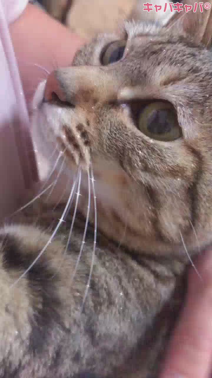 本日定休日❣️