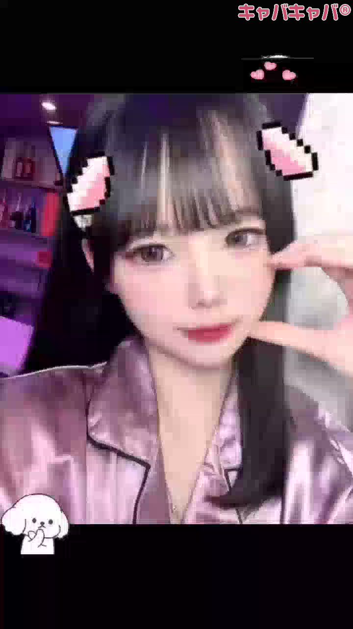 一条 葵