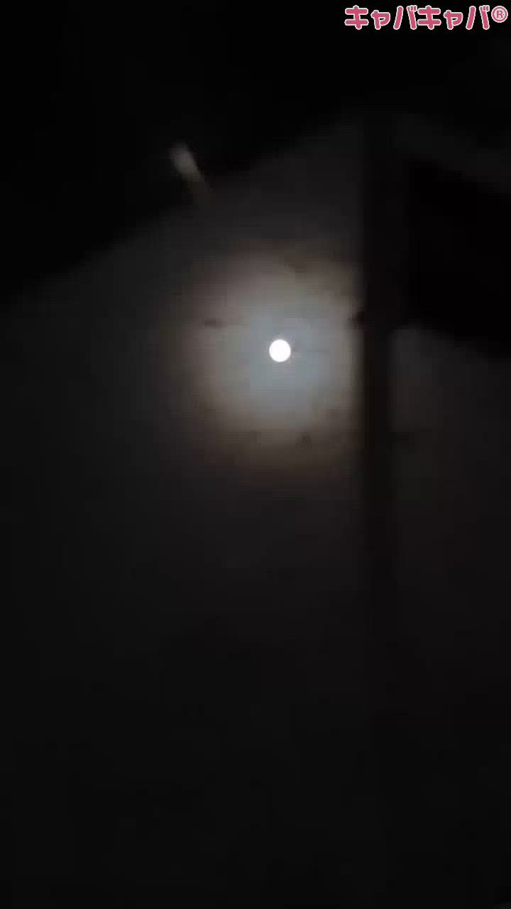 CLUB MIMOSA日記1513684