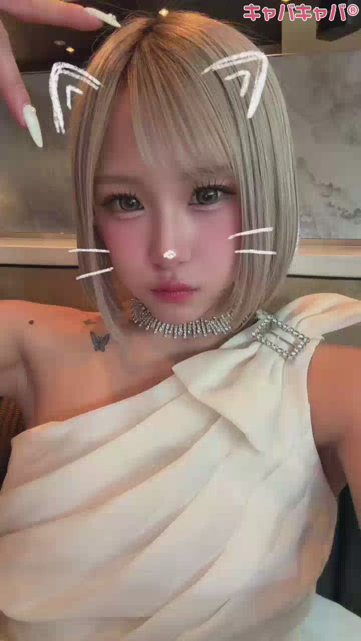 野良ねーこ🐈‍⬛