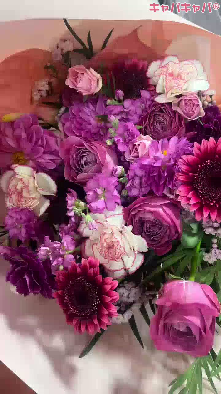 CLUB MIMOSA日記1579259