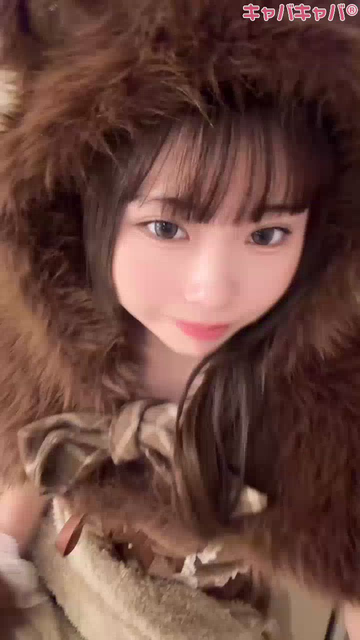 コンセプトカフェ あにまる宮殿日記1556899