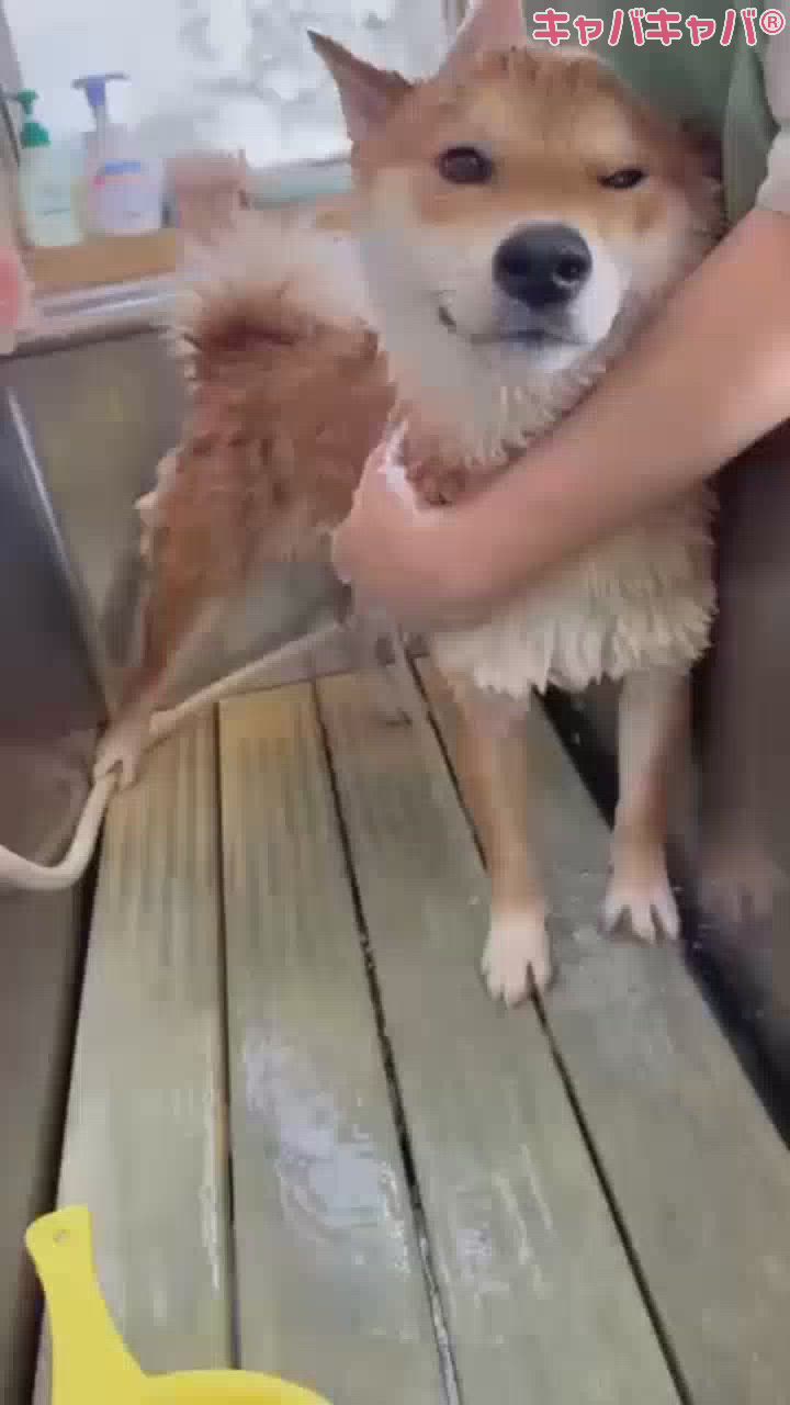 CLUB Red日記1376507