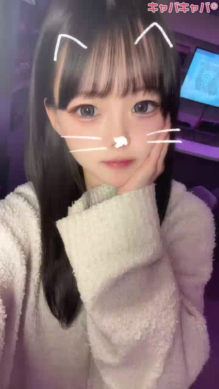 一条 葵