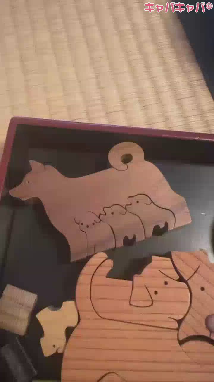 今日もしゅ！！！