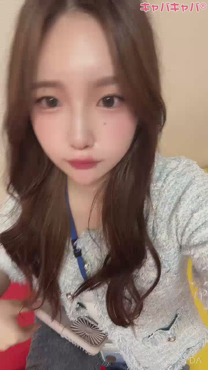 一条 葵