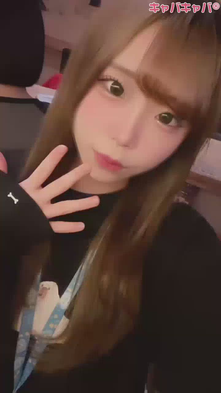 一条 葵