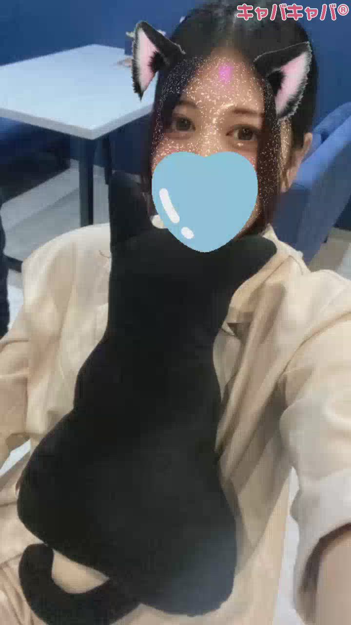 ねこねこにゃんにゃん