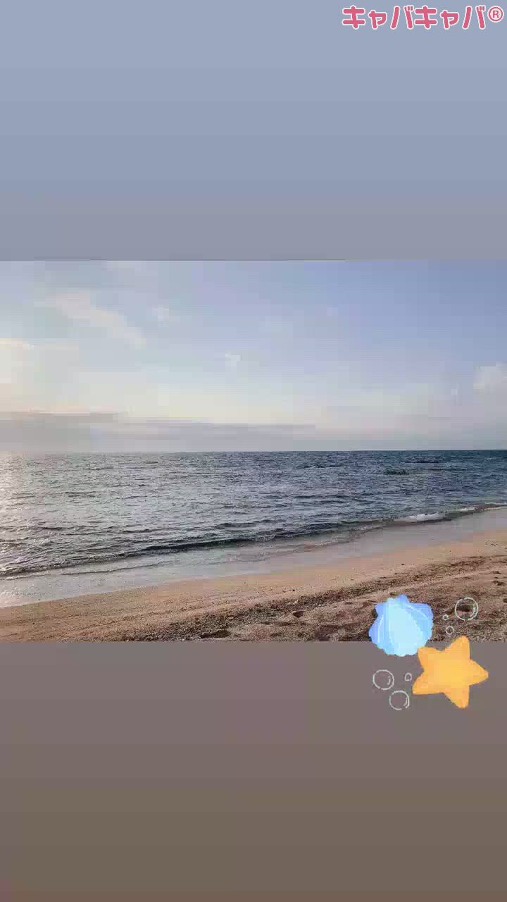 Persephone日記1555679