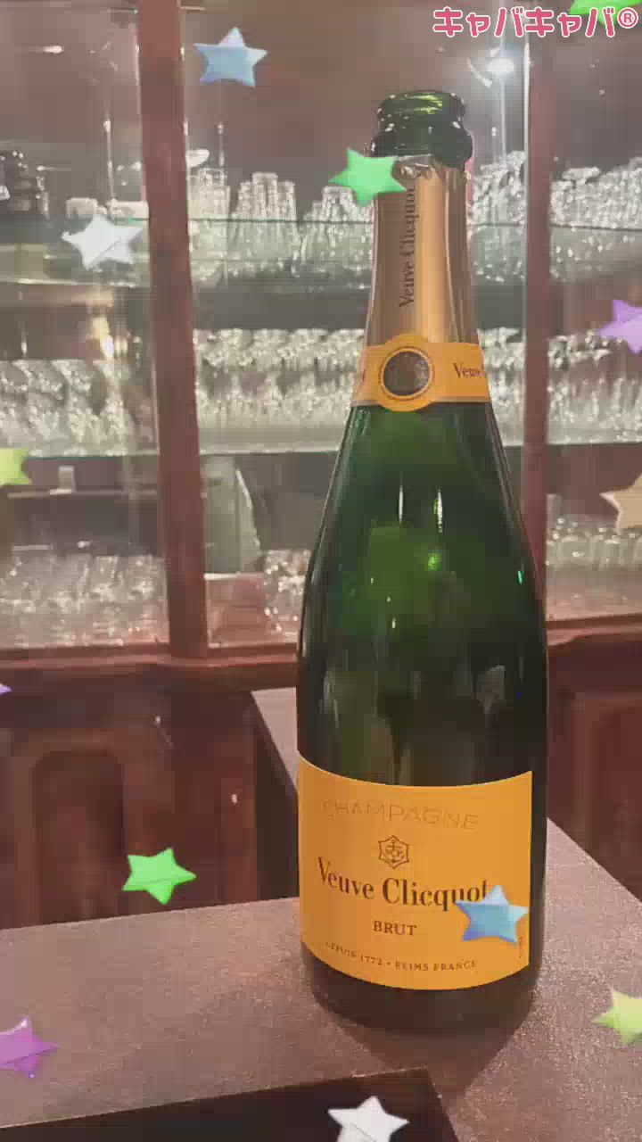 一条 葵