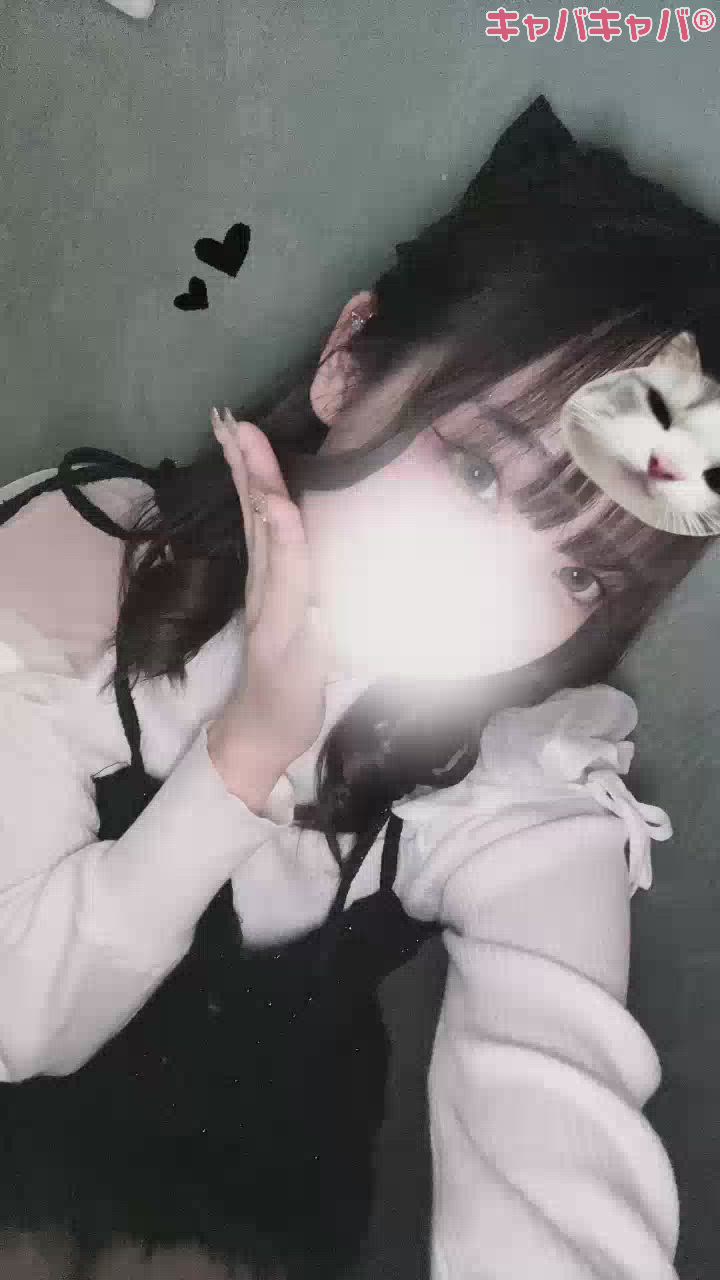 お久しぶりです