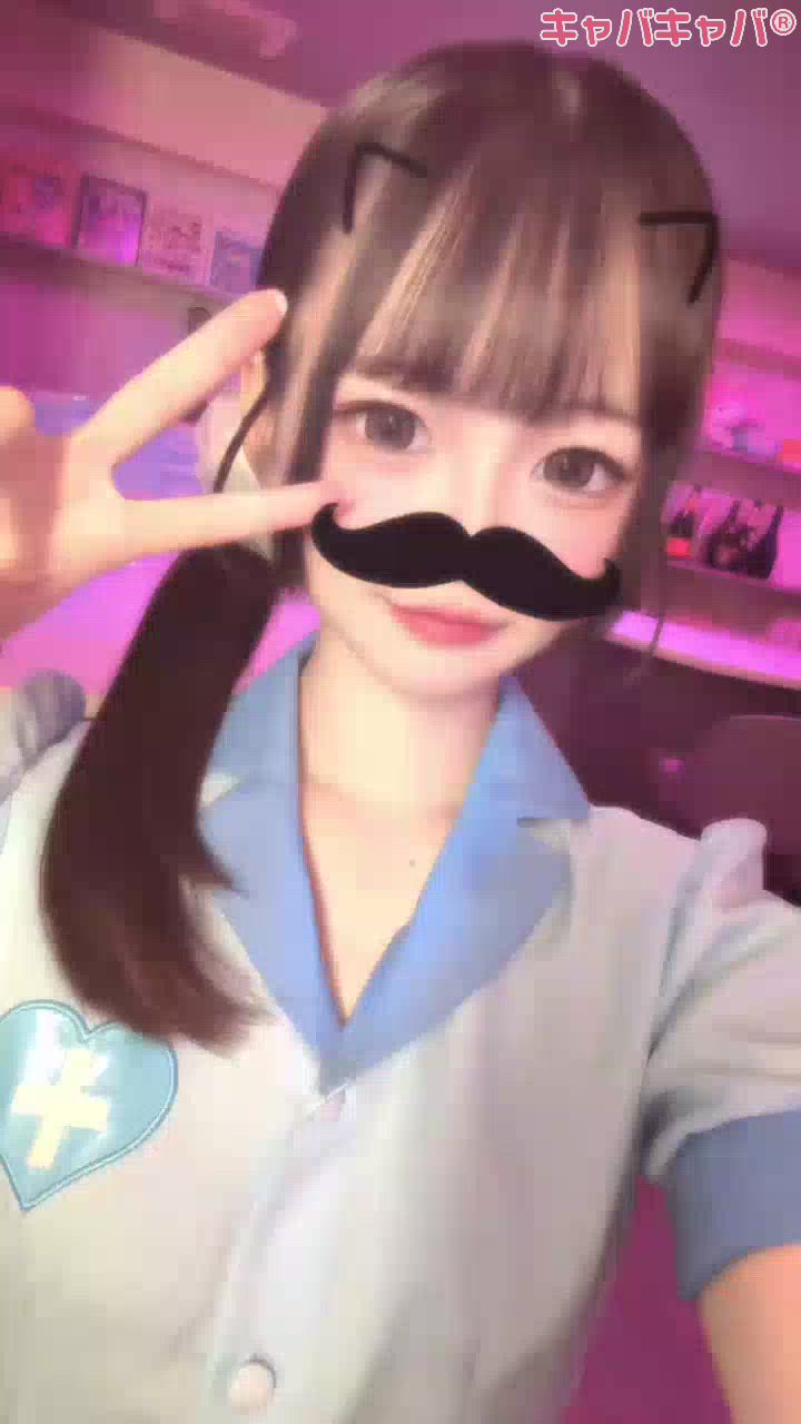 一条 葵
