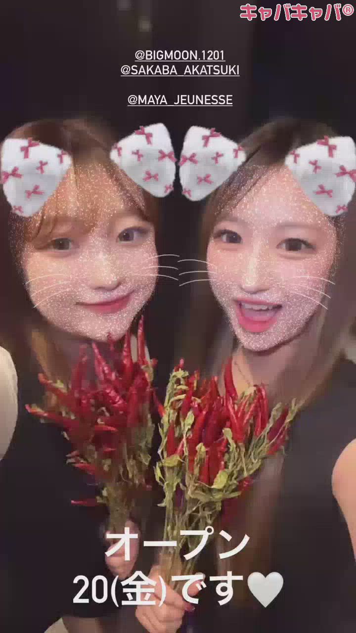 酒場暁オープン！