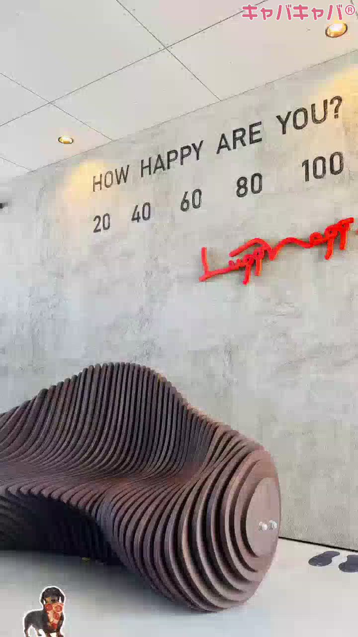 一条 葵
