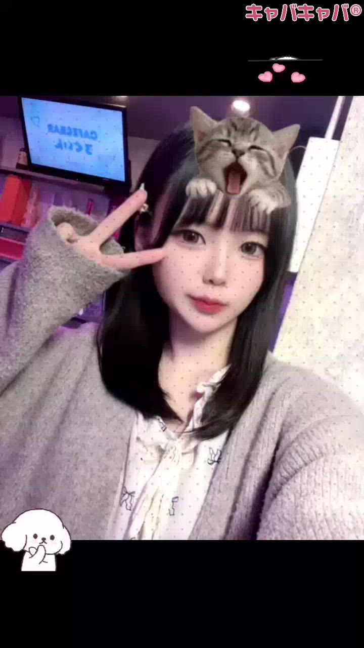 一条 葵