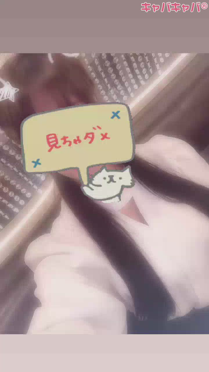 ニューカマー🆕