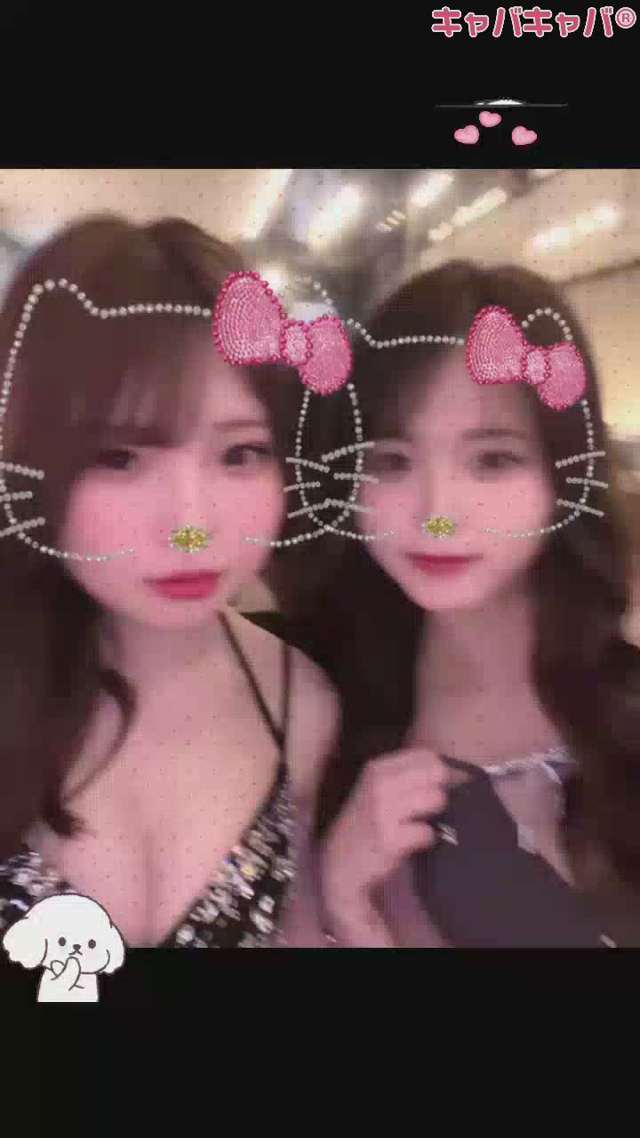 一条 葵
