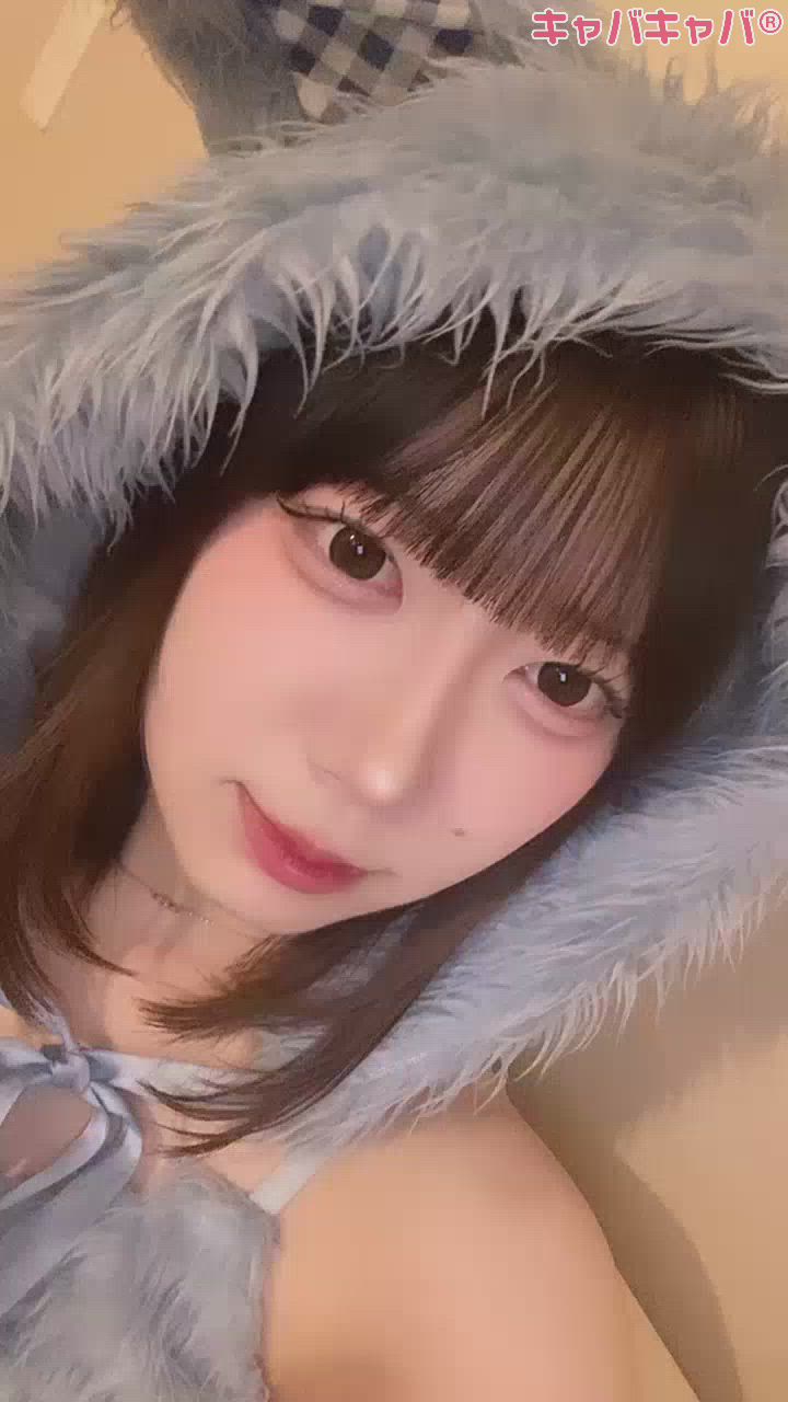 コンセプトカフェ あにまる宮殿日記1432682