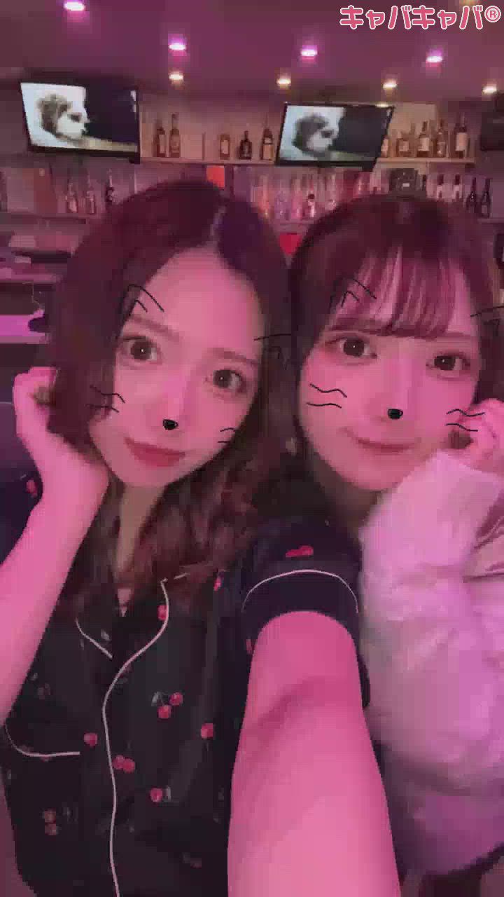 何も食べてない～ᐡ т · т ᐡ