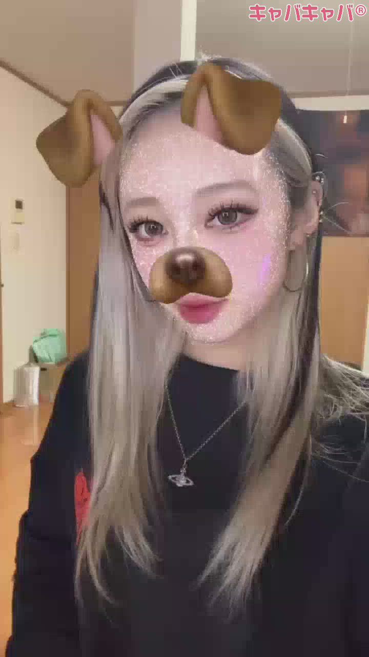 今日もいるよっ