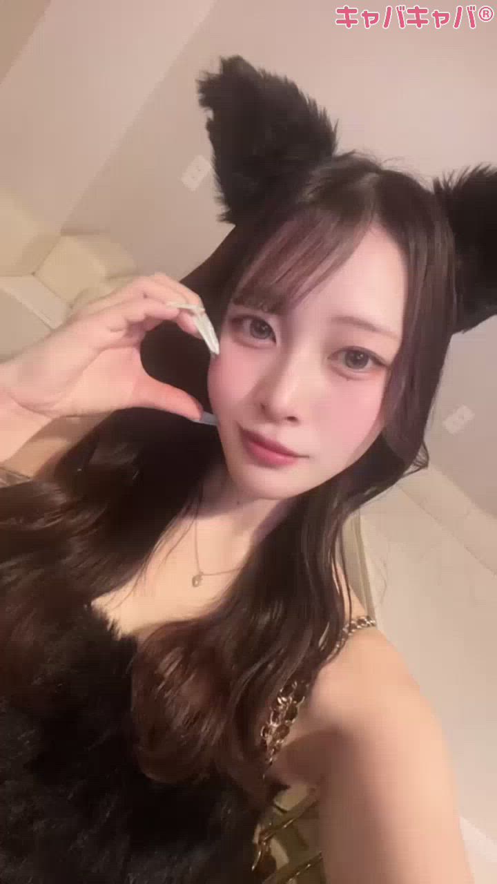 一条 葵