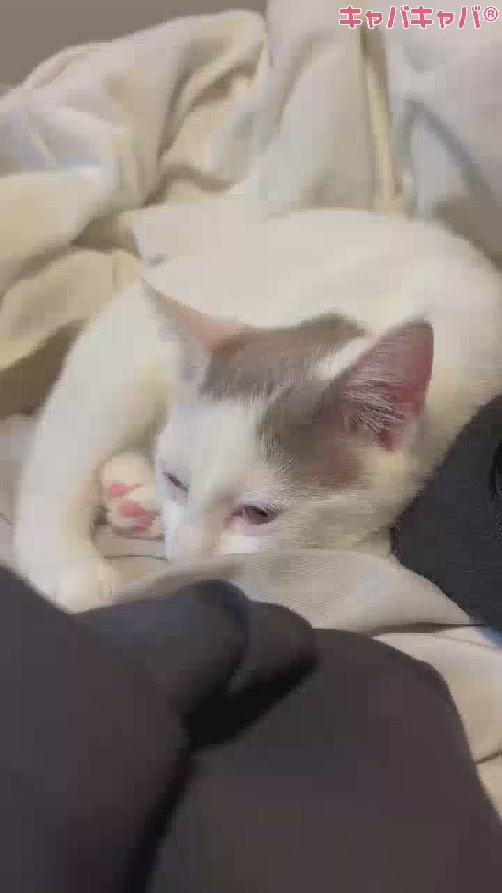 最愛のパートナー💖