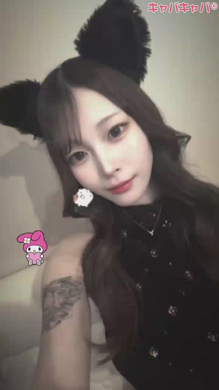 一条 葵