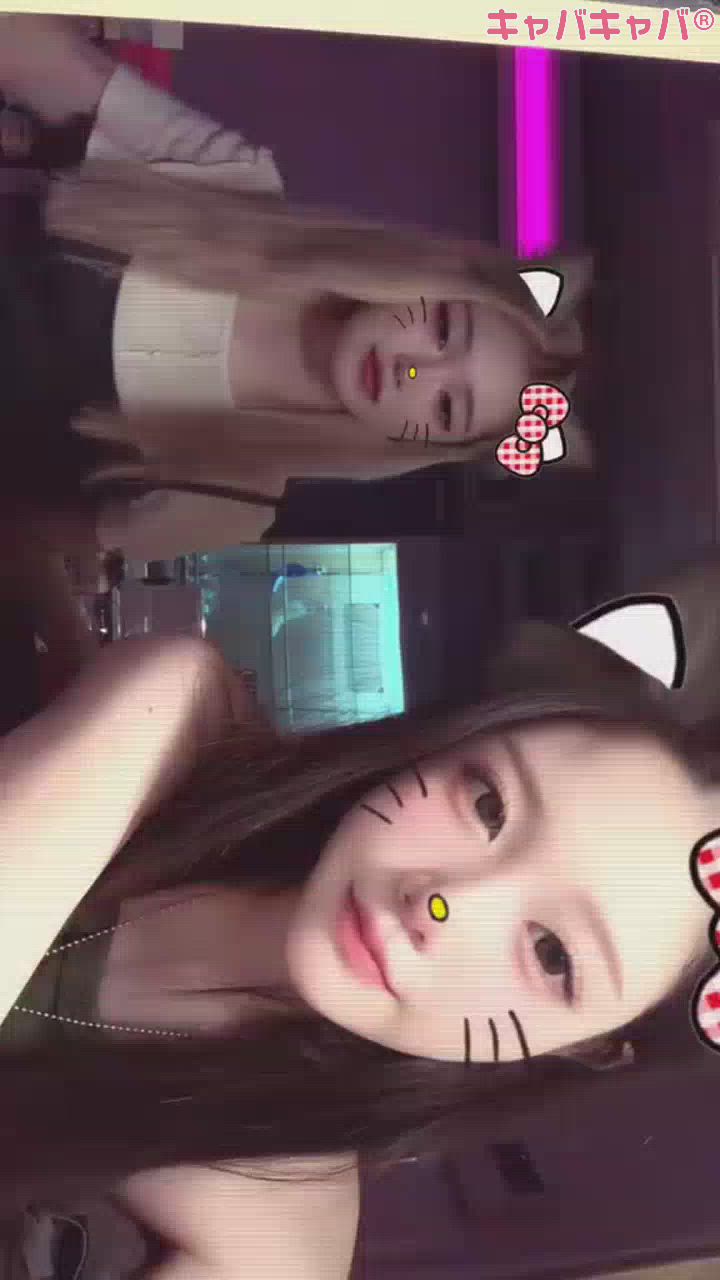 一条 葵