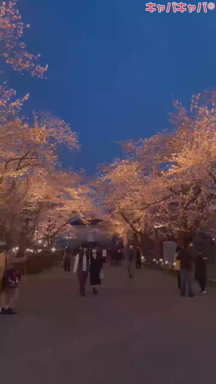 天国酒場DRUNK日記1328607