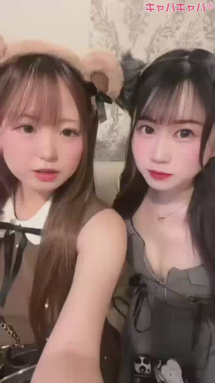 - ̗̀ 🧸🐺  ̖́-