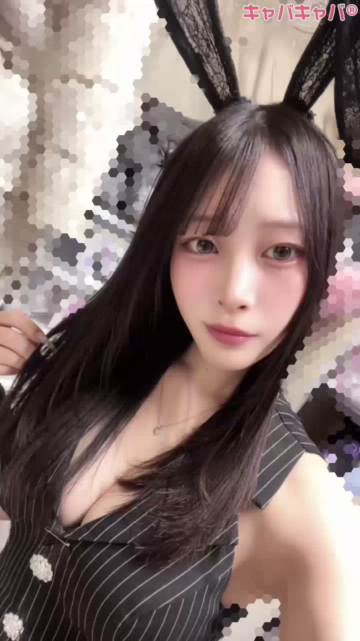 一条 葵