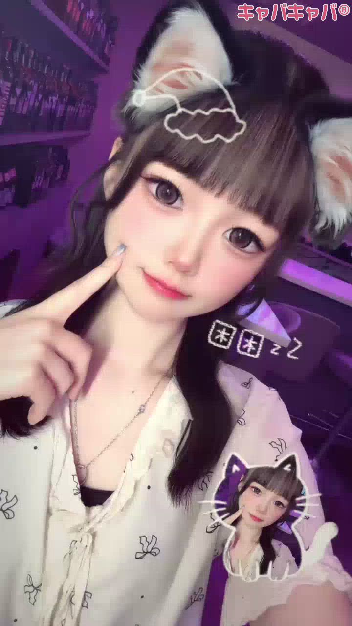 一条 葵