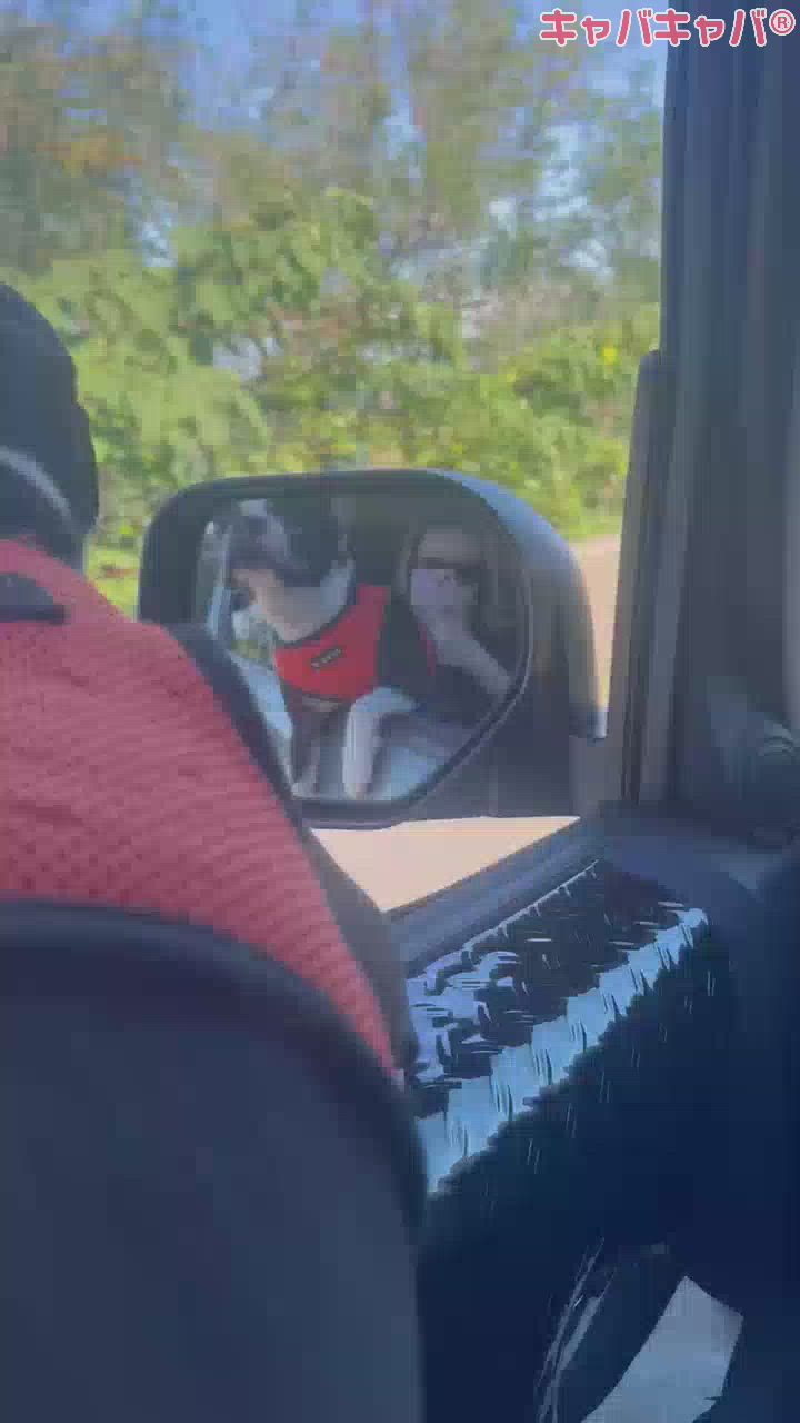 海とわたしと犬