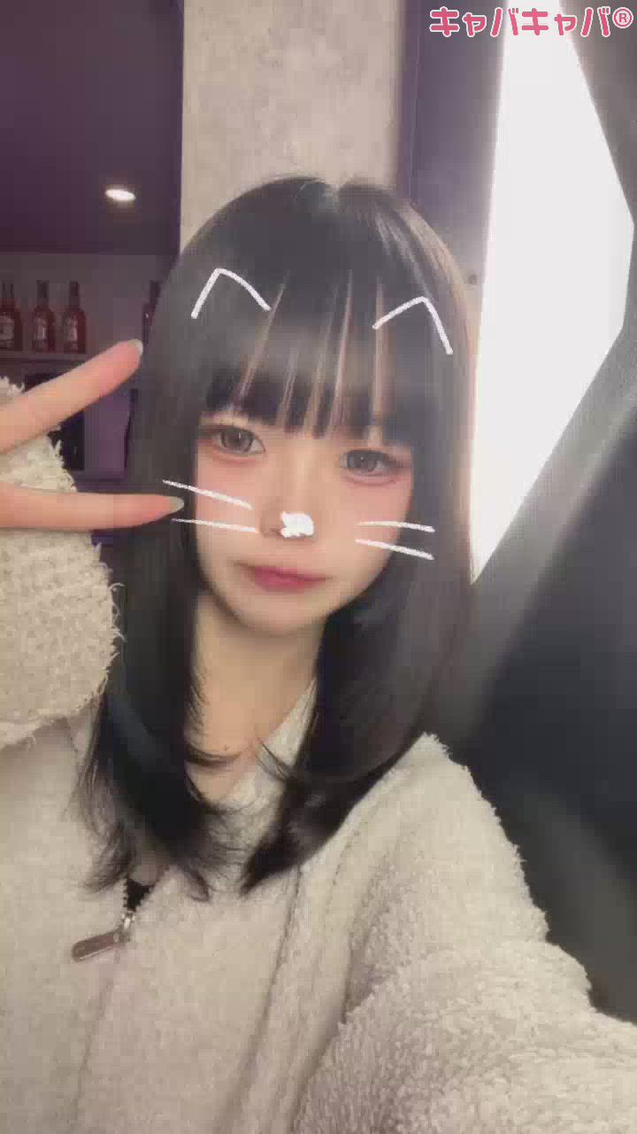 ねこねこねこねこ