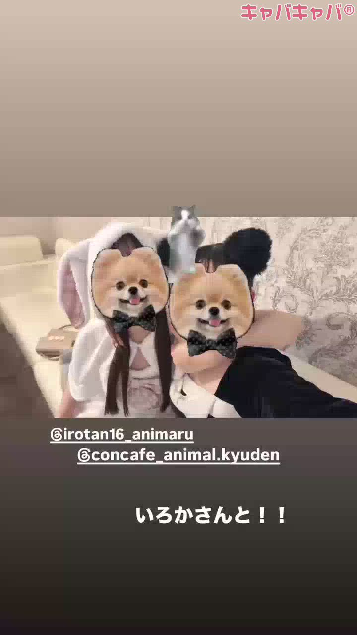 コンセプトカフェ あにまる宮殿日記1639105