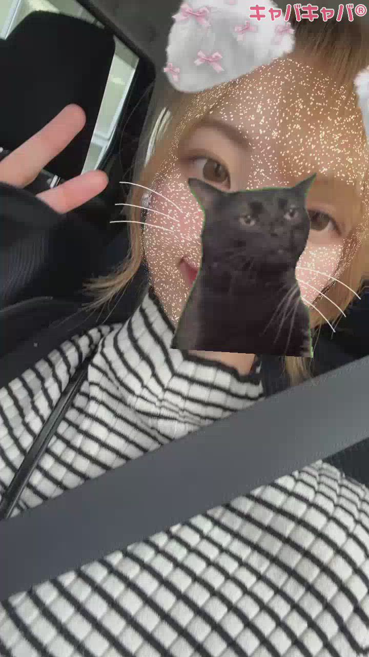 GWは何するの～？