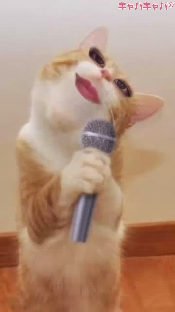 これ変えられるん！？