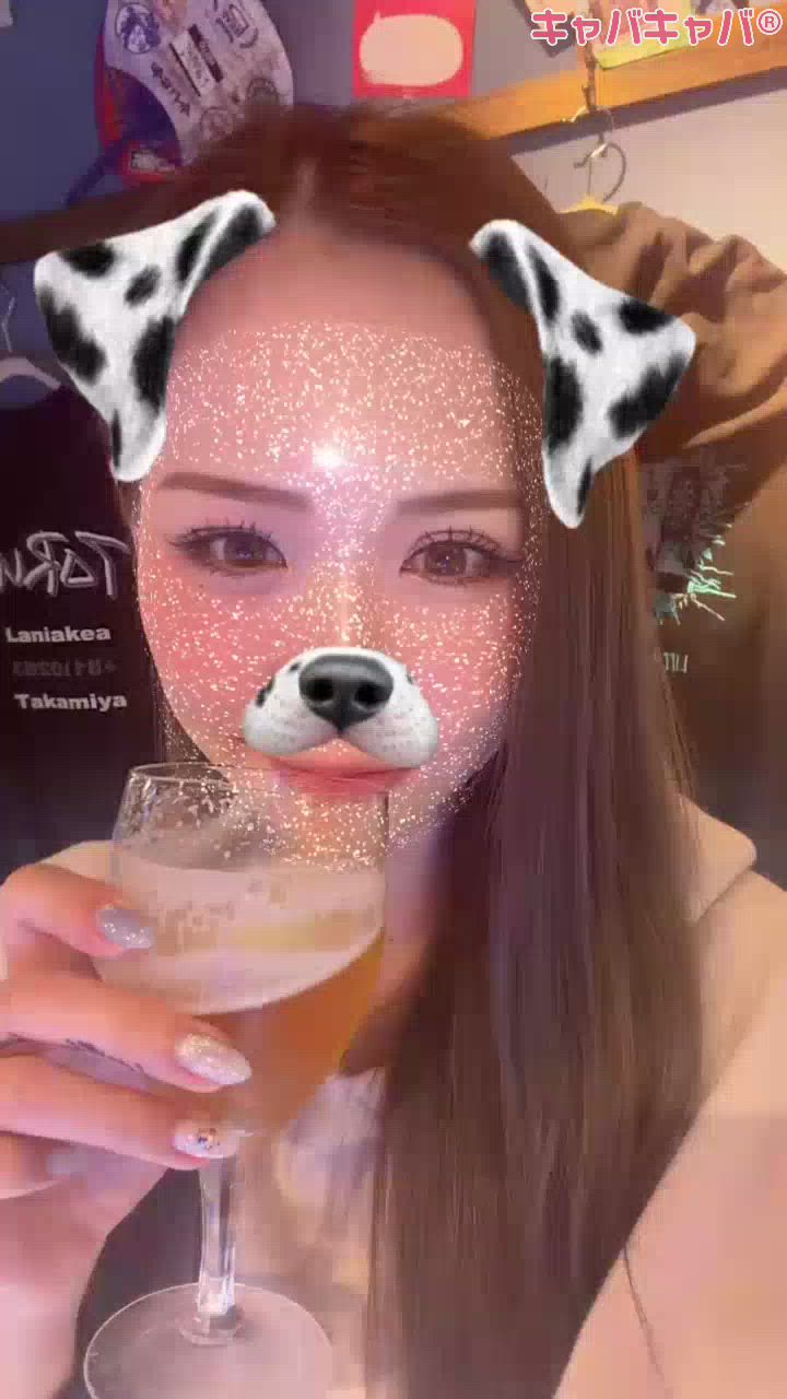 一条 葵