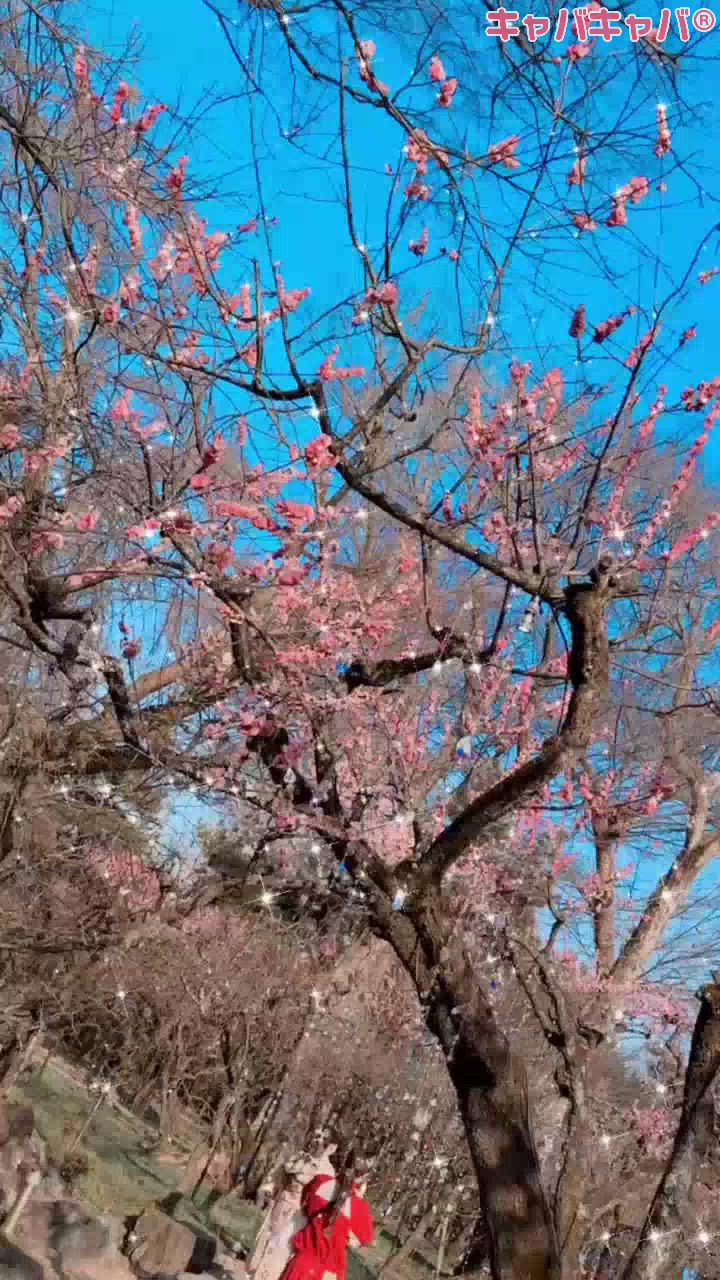 CLUB WONDER日記1628521