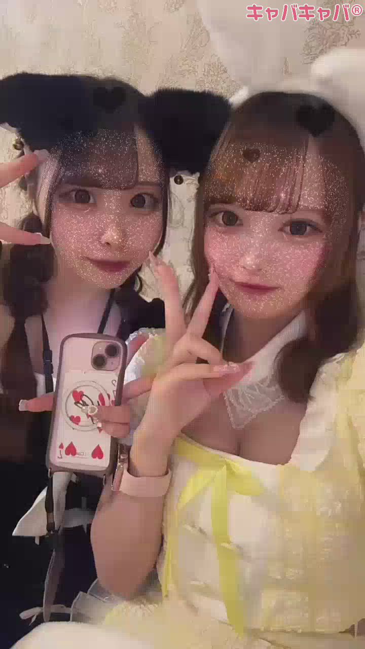 コンセプトカフェ あにまる宮殿日記1224581