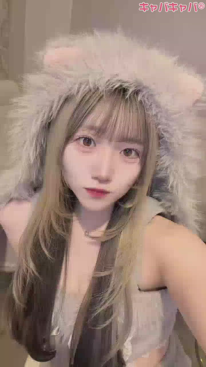 一条 葵