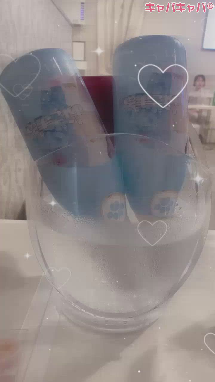 コンセプトカフェ あにまる宮殿日記1426826