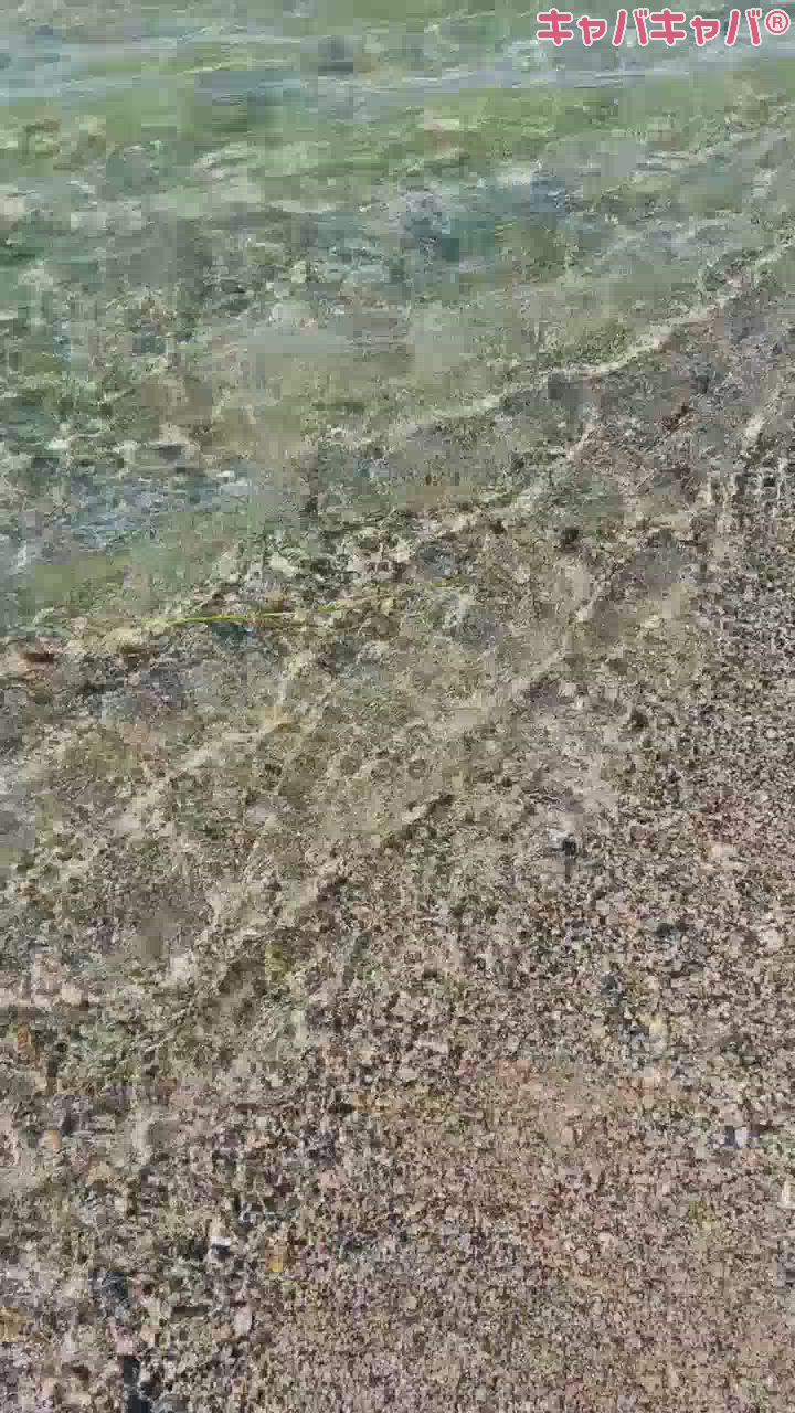 NATSUしようぜ🏖☀️