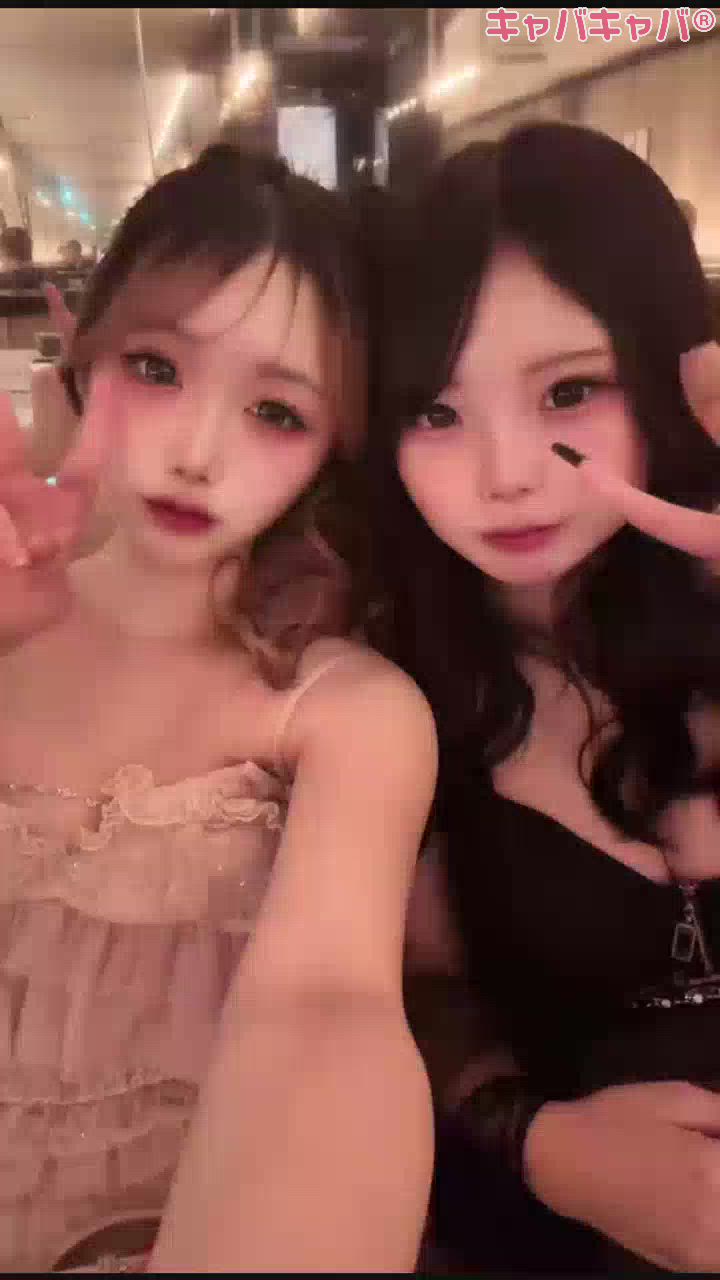 一条 葵