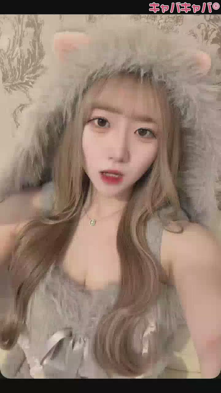 コンセプトカフェ あにまる宮殿日記1585791